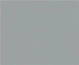 FL matte silver